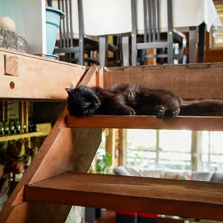 Ferma Grand Albanik Gasthof