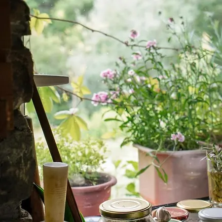 Ferma Grand Albanik Kelcyre