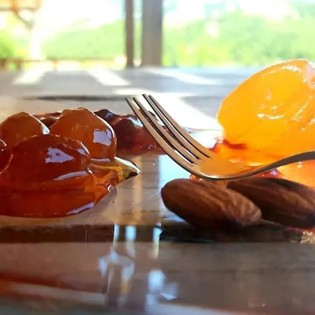 Casa de hóspedes Ferma Albanik