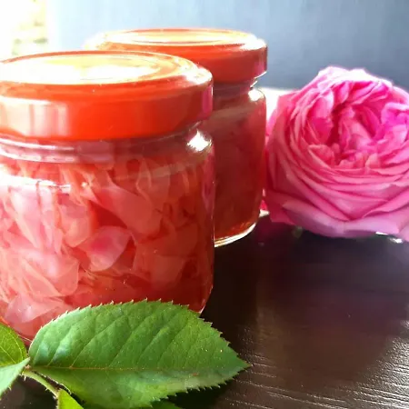 Casa de hóspedes Ferma Albanik 3*