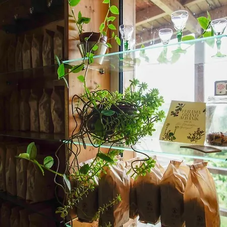 Ferma Albanik Maison d'hôtes Kelcyre