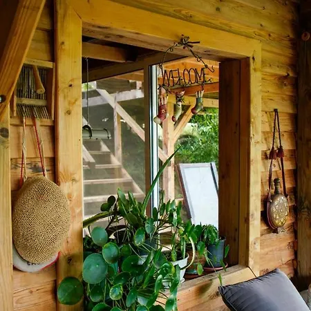 בית הארחה Ferma Albanik