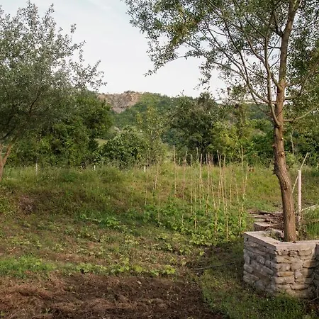 בית הארחה Ferma Albanik Kelcyre