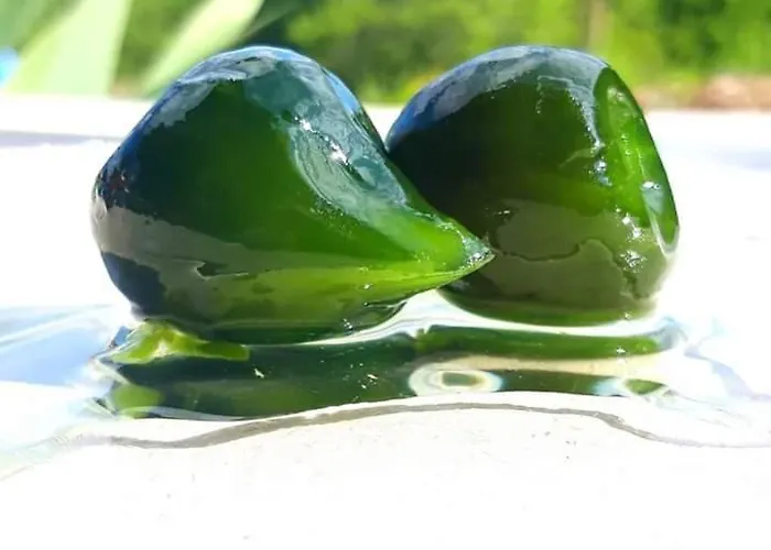 Ferma Albanik بيت ضيافة